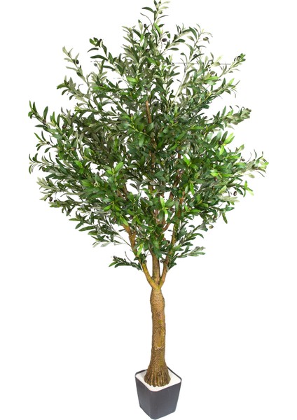 Yapay Zeytin Ağacı 3578 Yaprak 154 Meyveli Yeşil 240 Cm.