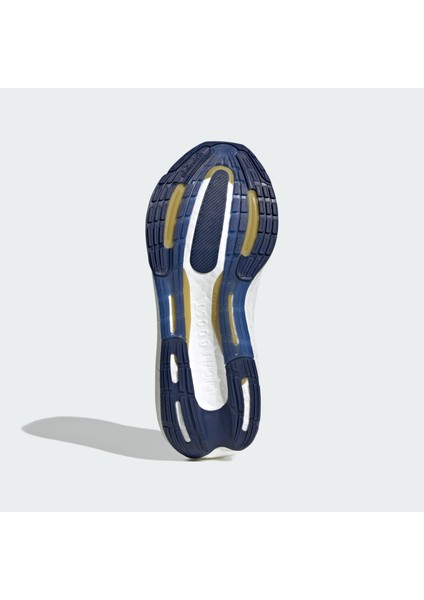 Performance ID3285 Ultraboost Light Ayakkabı