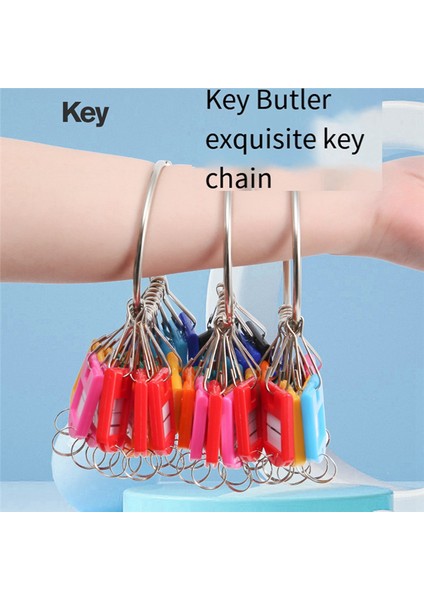 10 Yaylı Kanca ve Halka ve Etiket Pencereli Anahtar Etiketleri ile Taşınabilir Metal Halka Anahtar Organizatör (Yurt Dışından) indirimleri