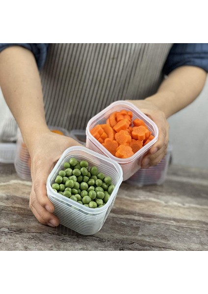 2x Kapaklı Gıda Saklama Kabı Seti - Kiler Organizasyonu ve Depolama Için Ücretsiz Plastik Gıda Kapları (Yurt Dışından) indirimleri