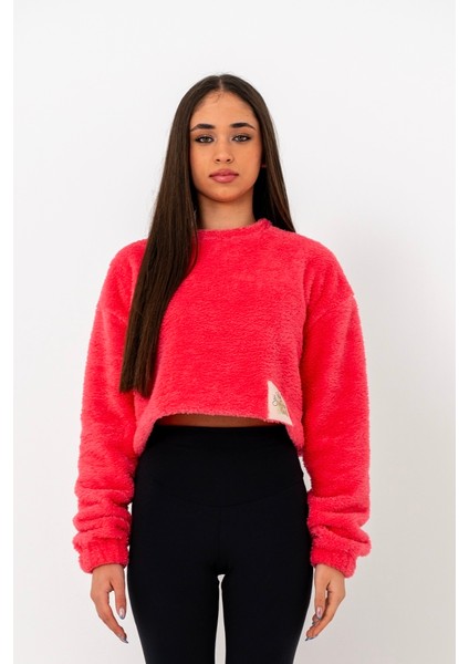 Kadın Sweatshırt Crop Bluz fırsatları