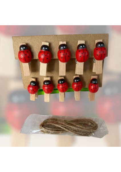 Dekoratif Mini Mandal Setleri fırsatları