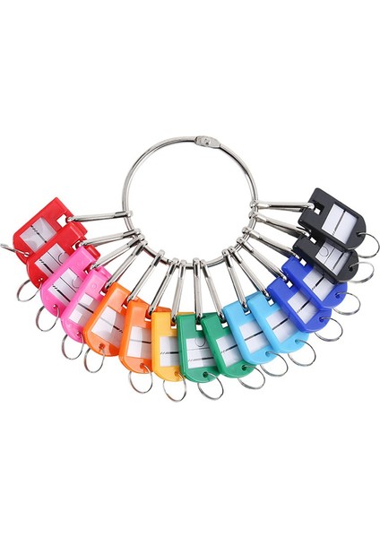 20 Yaylı Kanca ve Halka ve Etiket Pencereli Anahtar Etiketleri ile Taşınabilir Metal Halka Anahtar Organizatör (Yurt Dışından)