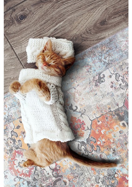 Dijital Baskı Şönil Dokuma Taban Halı Yıkanabilir Kilim Yolluk Salon Halısı