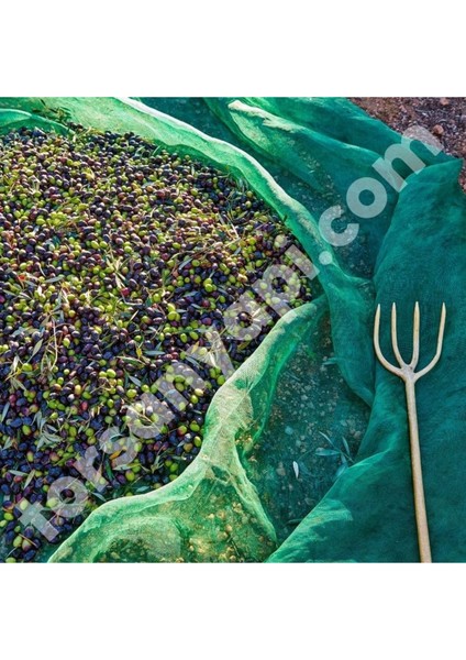 Zeytin Toplama Filesi – Sergenlik – Yüzde 75 Lik Yeşil – Tüm Ebatlar - 5 Metre x 60 Metre
