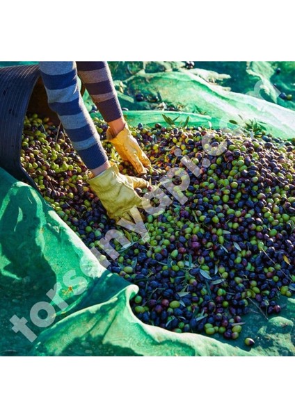 Zeytin Toplama Filesi – Sergenlik – Yüzde 75 Lik Yeşil – Tüm Ebatlar - 5 Metre x 60 Metre
