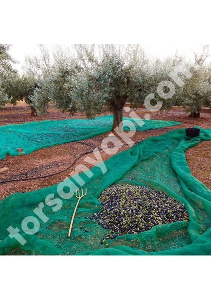 Zeytin Toplama Filesi – Sergenlik – Yüzde 75 Lik Yeşil – Tüm Ebatlar - 5 Metre x 60 Metre