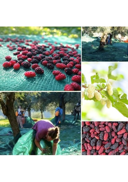 Dut Toplama Filesi – Yüzde 75 Lik – Yeşil – Düz - 1.5 Metre x 30 Metre