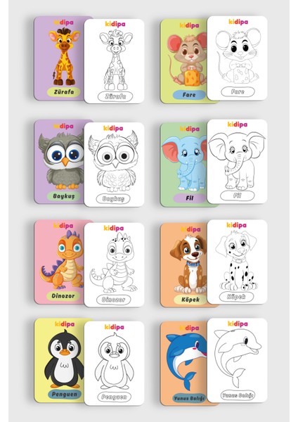 | Hayvanlar Alemi Tanı & Boya - Çift Taraflı Eğitici Boyama Kartları 30 Sticker Hediye