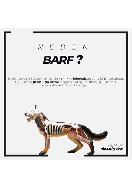 Mix Barf 20 kg Salam Köpek Maması (20 Paket - 1000 GR)91000100001163 indirimleri
