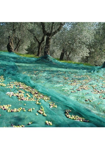 Dut Filesi – Yüzde 75 Lik – Yeşil – Şeritli Halkalı - 3 Metre x 14 Metre