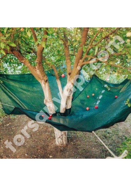 Dut Filesi – Yüzde 75 Lik – Yeşil – Şeritli Halkalı - 3 Metre x 14 Metre