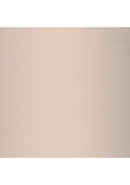 Boutıque Lıvıng Duvar Kağıdı 149902