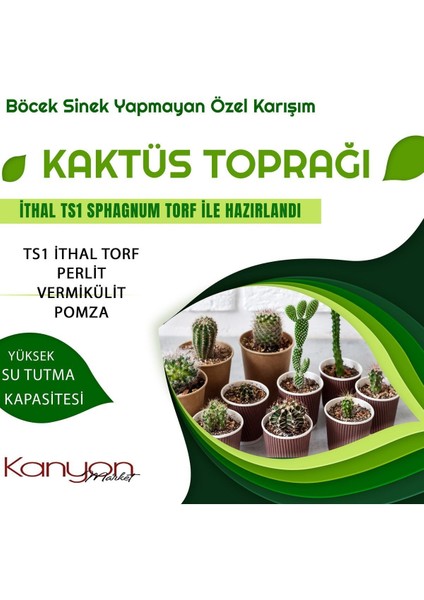 5 Litre Kaktüs Toprağı Böcek Sinek Yapmayan Premium Kalite