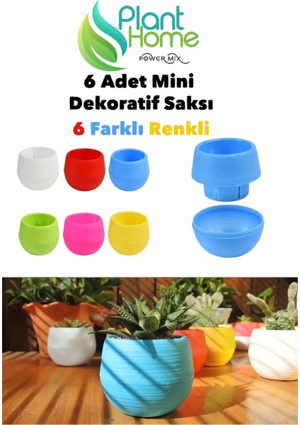 Dekoratif Mini Kaktüs Saksı Modelleri - 6 Adet Farklı Renkli Kaktüs Saksısı