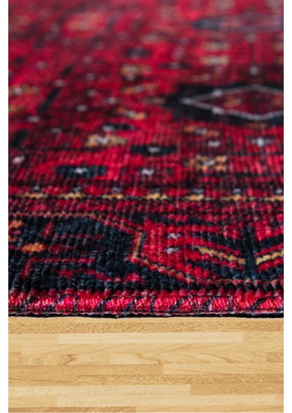 Efes 2303 Geleneksel Motif Yumuşak Doku Leke Tutmayan Modern Halı Kilim indirimleri