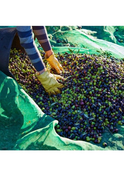 Zeytin Toplama Filesi – Sergenlik – Yüzde 75 Lik Yeşil – Tüm Ebatlar - 2 Metre x 16 Metre