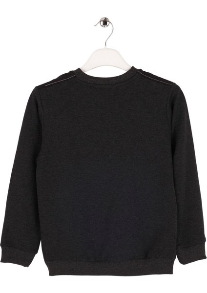 Erkek Çocuk Bisiklet Yaka Sweatshirt fiyatları