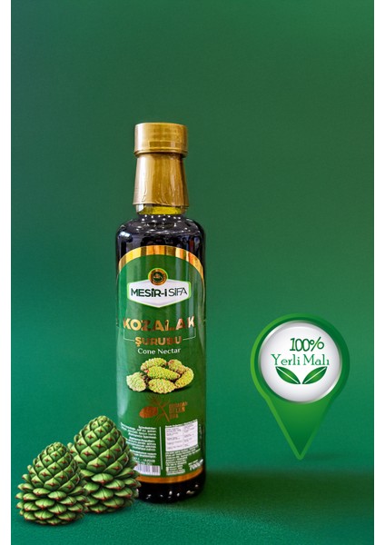 Kozalak Şurubu 700G fırsatları
