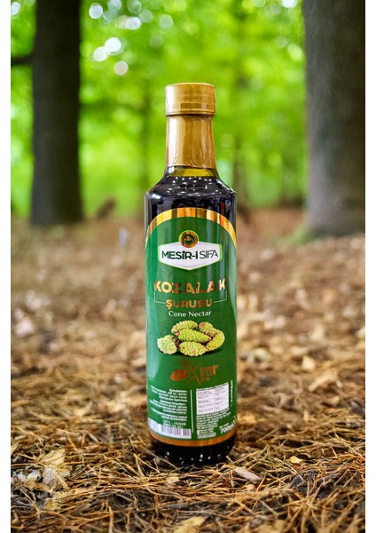 Kozalak Şurubu 700G indirimleri