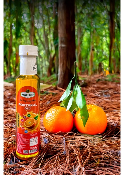 Portakal Özü 350G