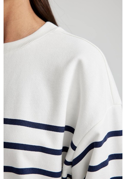 Relax Fit Bisiklet Yaka Çizgili İnce Sweatshirt A9255AX23WN