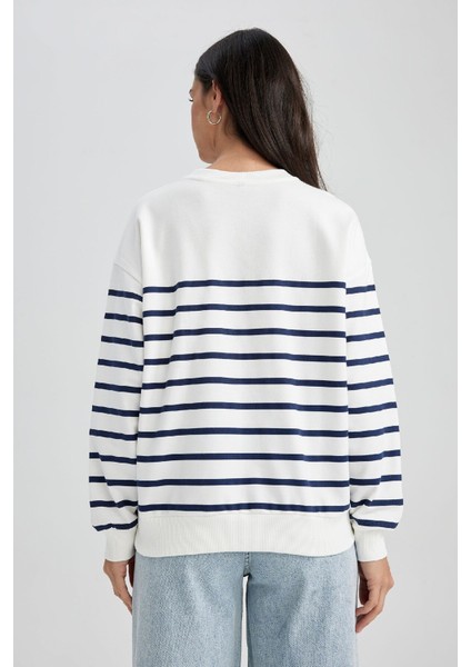 Relax Fit Bisiklet Yaka Çizgili İnce Sweatshirt A9255AX23WN