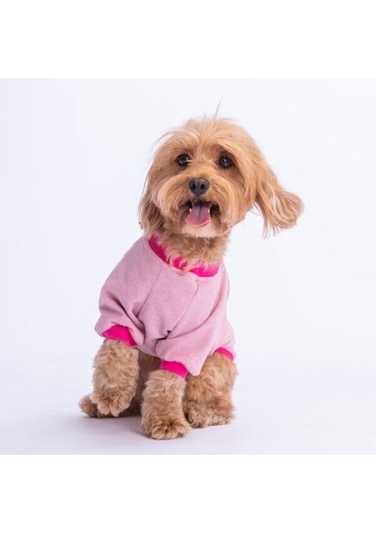 Pembe Bone Hunter Küçük Irk Köpek Sweatshirtü fiyatları