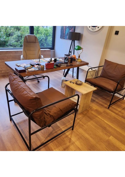 Modern Tasarım Berjer Metal Iskeletli Portatif Berjer Flok Kumaş Döşeme Salon Dizayn indirimleri