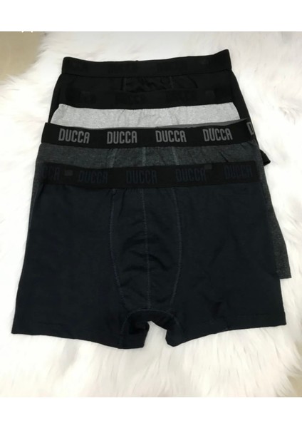 Erkek 4 'lü Boxer