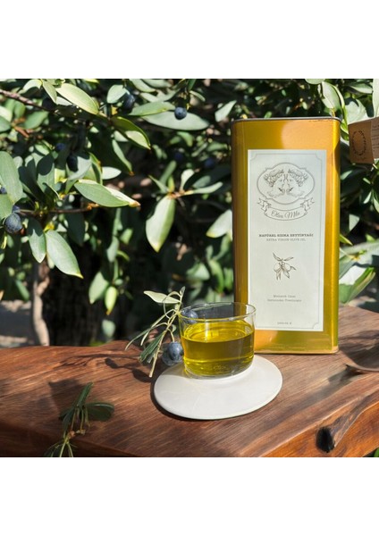 5000 ml Naturel Sızma Zeytinyağı