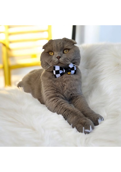 Dama Desen Kedi ve Küçük Irk Köpek Tasması