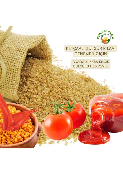 Naturel Köy Tipi Ketçap ( Acı ) 1000 gr