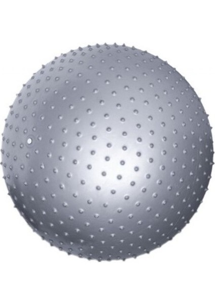 Dikenli Pilates Topu 55 cm Gümüş modelleri