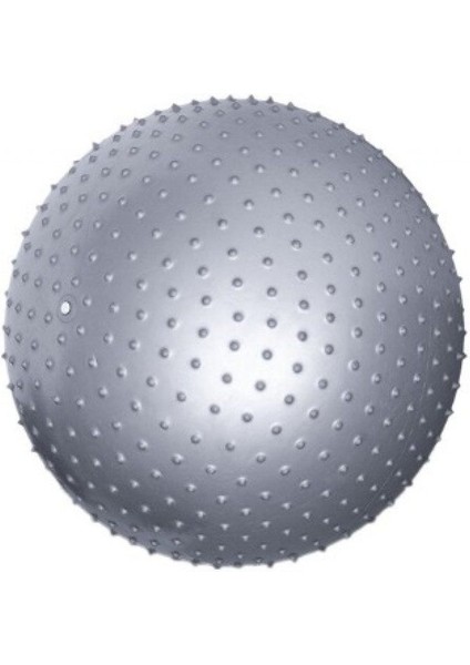 Dikenli Pilates Topu 55 cm Gümüş fırsatları