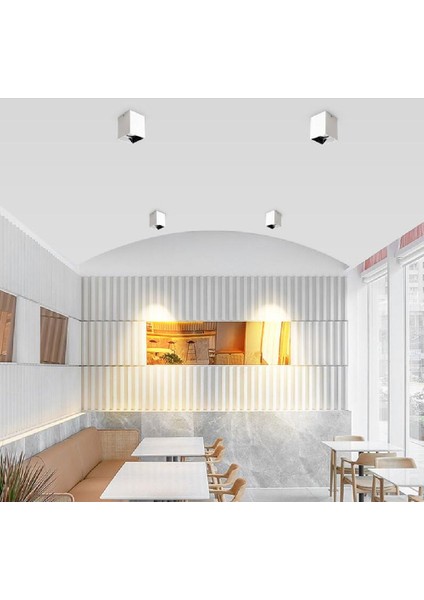 Cata CT-5420 GU10 Beyaz-Platin Bergama Siva Üstü Spot Kasasi fiyatları