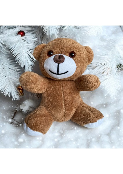Pelüş Ayı (22CM)