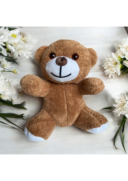 Pelüş Ayı (22CM)