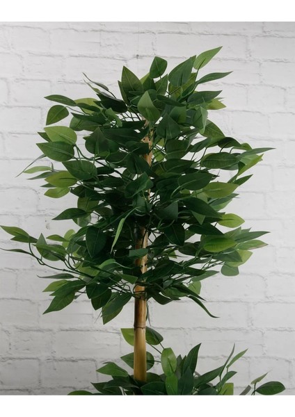 Rüzgar Yapay Çiçekçilik 110 cm 2 Gövdeli Bambu Ağacı ( Saksı Modeli Degisebilir) fırsatları