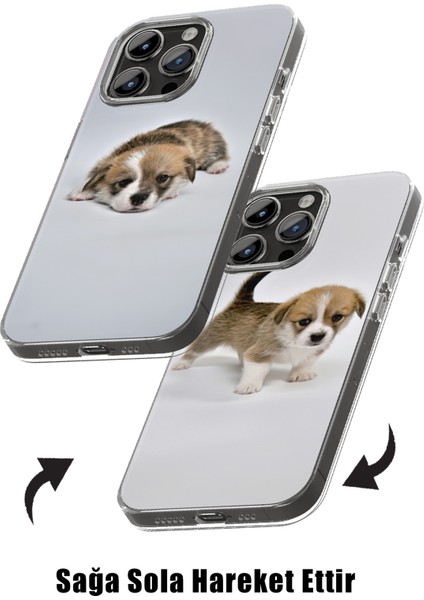 iPhone 14 Kılıf 3D Hareketli Özel Tasarım Hd Baskılı Telefon Kılıfı - Köpek