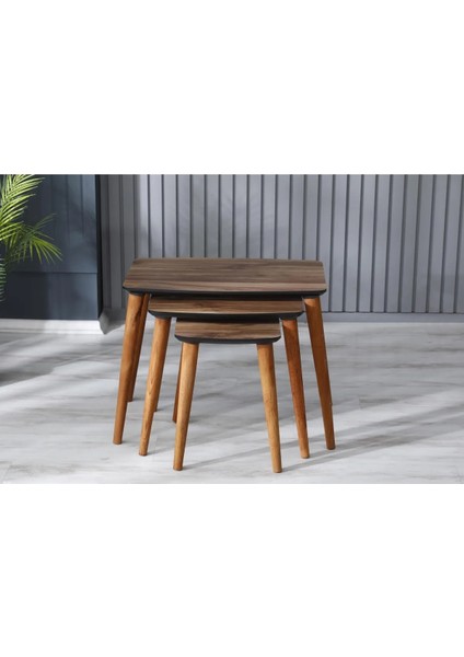 Mdf Zigon Sehpa 3'lü