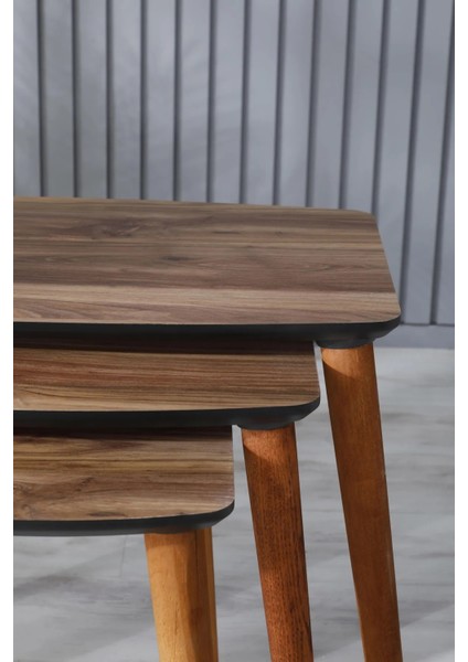 Mdf Zigon Sehpa 3'lü