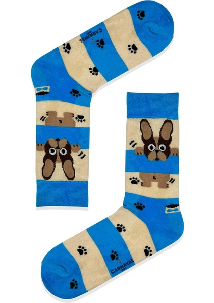 French Bulldog Desenli Renkli Soket Çorap