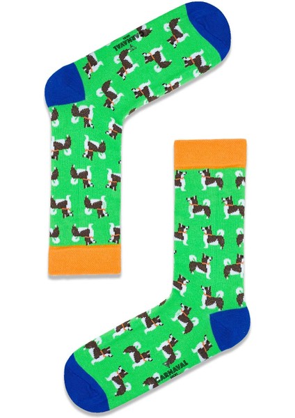 Sibirya Köpeği Desenli Renkli Soket Çorap