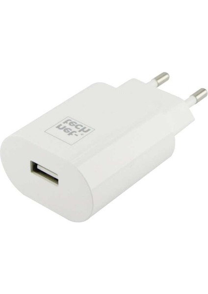 NT-HCH02 2100 mAh Şarj Aleti + Type-C Kablo