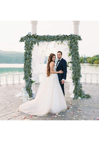 4'lü Paket 6,5 Ayak Yapay Okaliptüs Söğüt Çelenkli Sahte Asma Bitkisi Yapraklı Sahte Gümüş Dolar Yeşilliği (Yurt Dışından) fiyatları