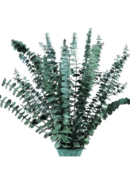 16 Adet-Korunmuş-Kurutulmuş-Okaliptüs-Dalları, 17IN Duş Için Taze Okaliptüs Bitkisi, Vazo Dolgusu Için Gerçek Okaliptüs Demeti (Yurt Dışından)