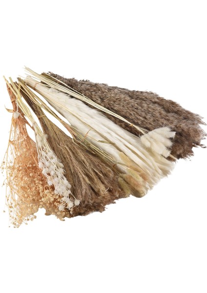 100 Adet Buket Doğal Kurutulmuş Pampas Çim Buketi Kurutulmuş Çiçek Boho Ev Dekor Buket Düğün Için Çiçek (Yurt Dışından) modelleri