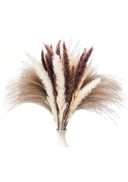 60 Adet Kurutulmuş Pampas Çim Dekor 17 Inç Doğal Pampas Çiçek/kurutulmuş Pampas Çim Çiçek Düzenlemeleri Için Düğün Dekor (Yurt Dışından)