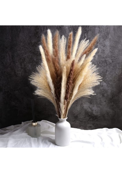 60 Adet Kurutulmuş Pampas Çim Dekor 17 Inç Doğal Pampas Çiçek/kurutulmuş Pampas Çim Çiçek Düzenlemeleri Için Düğün Dekor (Yurt Dışından) fiyatları
